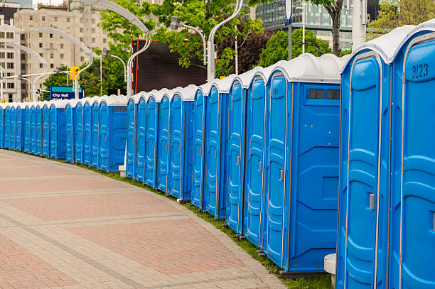 Best Portable Toilets with Baby Changing Stations  in Wickerham Manor Fisher, PA